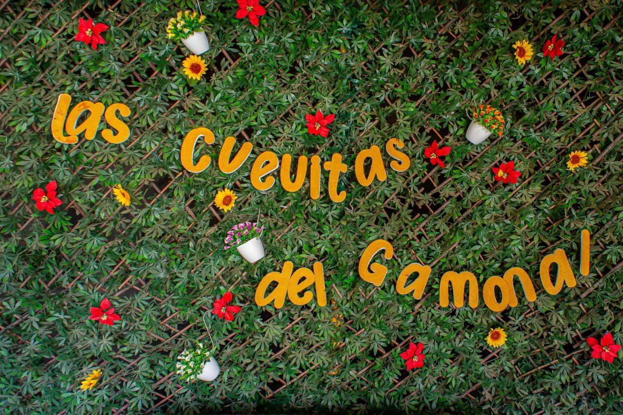 Las Cuevitas Del Gamonal Santa Brígida Exterior photo
